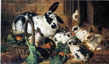 unknow artist Rabbits 198 oil painting image